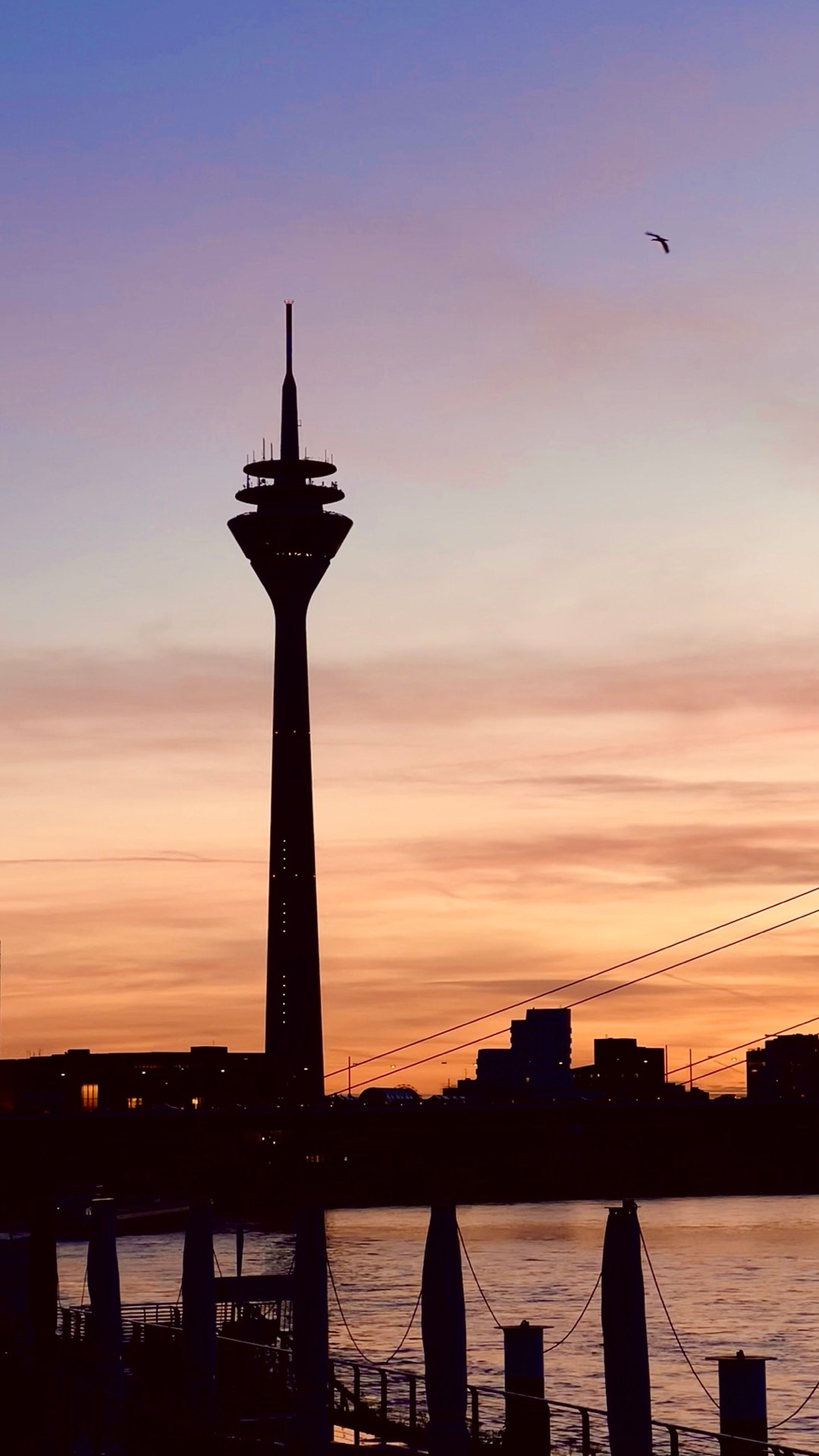 Der Rheinturm als Silhouette vor einem orange-violetten Abendhimmel, darunter die dunkle Düsseldorfer Skyline und gespannte Brückenseile, im Vordergrund der Rhein mit Dalben und einem Anleger.